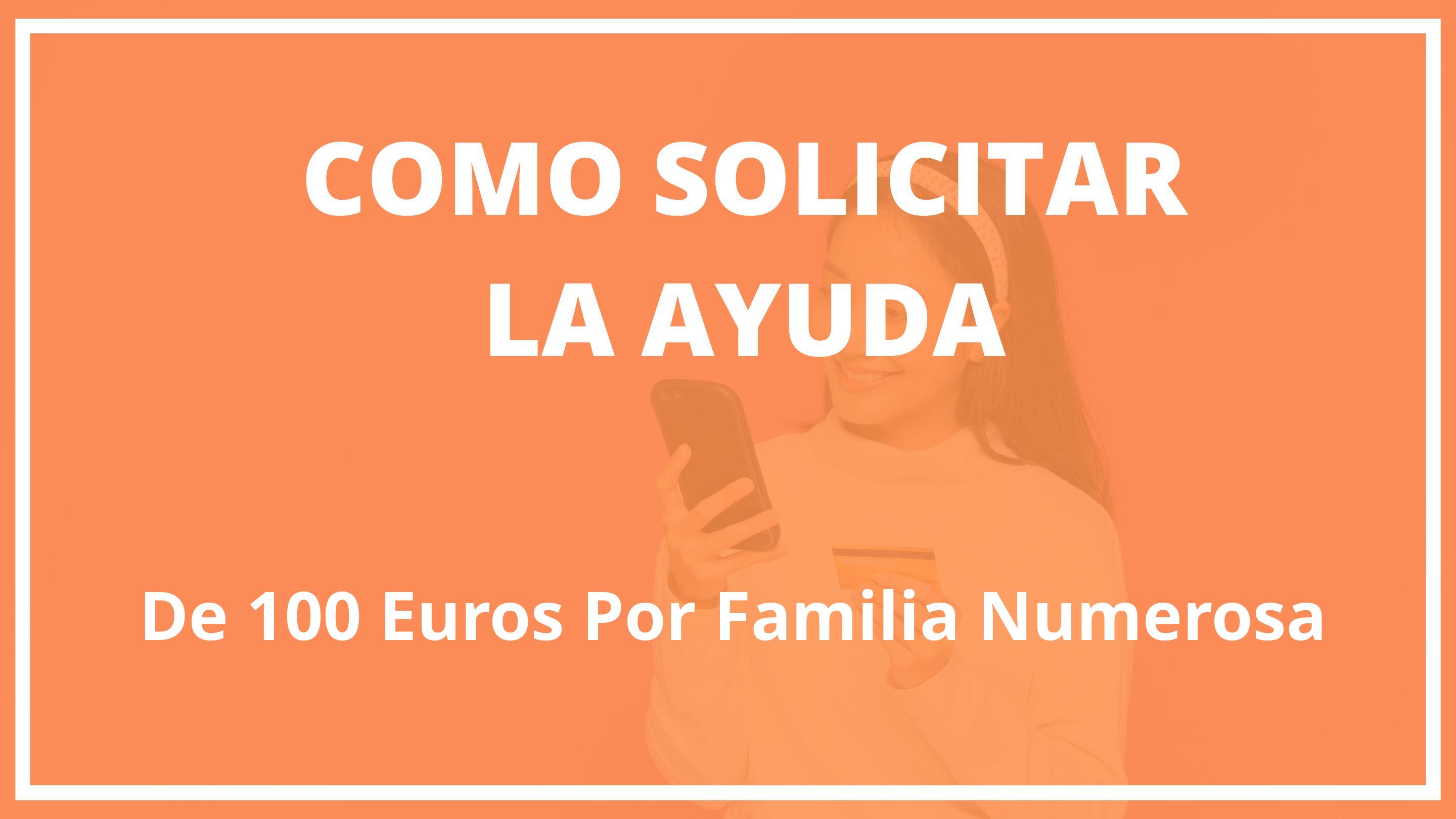Como Solicitar La Ayuda De 100 Euros Por Familia Numerosa