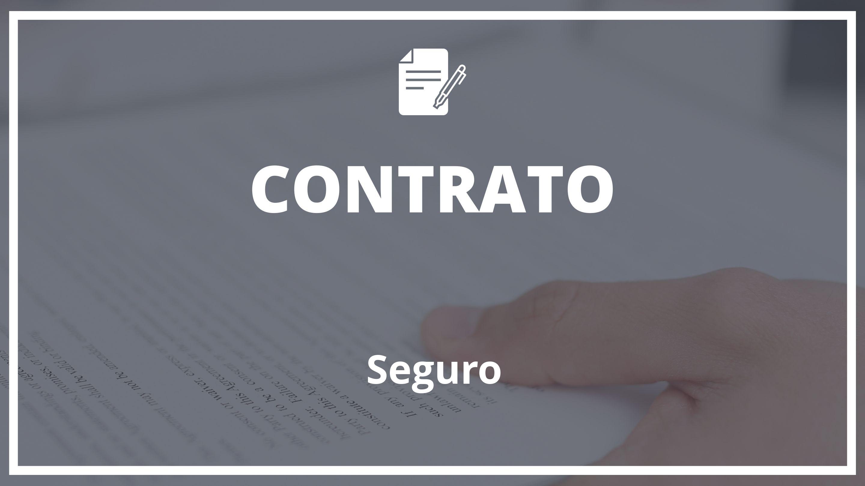 Modelo Contrato De Seguro - WORD Plantilla